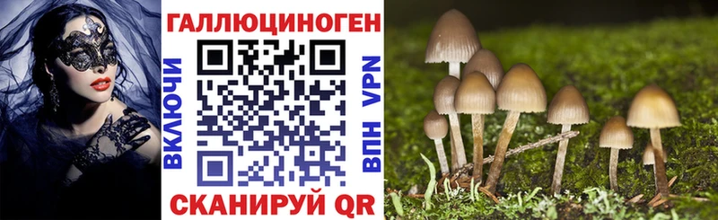 Галлюциногенные грибы прущие грибы  Шелехов 